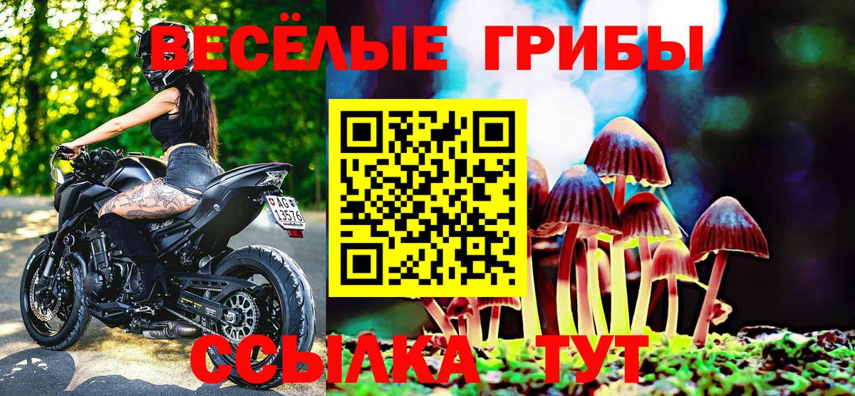 Псилоцибиновые грибы мицелий  Псилоцибиновые грибы Psilocybine cubensis  Вход с VPN  Соликамск 